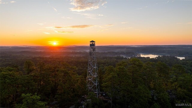 1130 Trillium W Pkwy, Eclectic, AL 36024 - photo 71