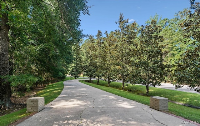 1130 Trillium W Pkwy, Eclectic, AL 36024 - photo 62