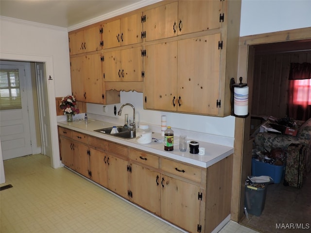 kitchen with crown molding and sink