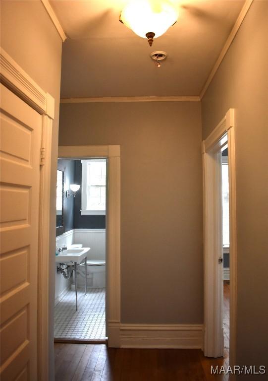 corridor featuring crown molding and dark wood-type flooring