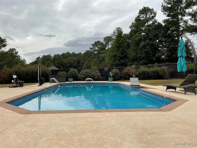 view of swimming pool with a patio area