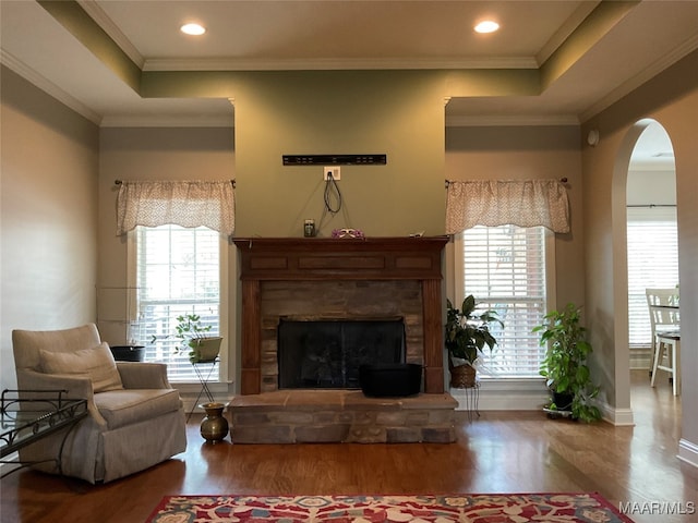 living room featuring wood-type flooring, a fireplace, and plenty of natural light