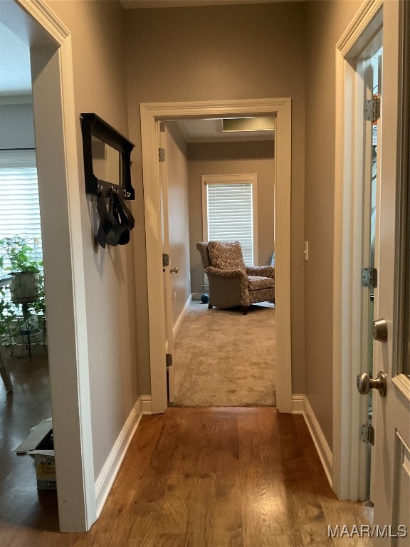 corridor featuring hardwood / wood-style flooring and a wealth of natural light