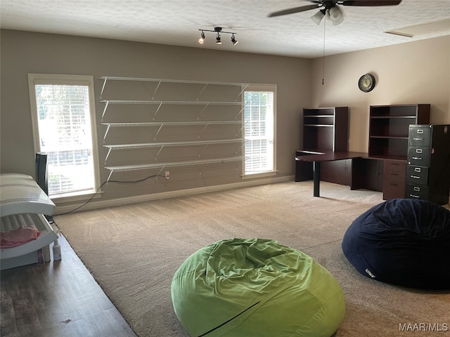 bedroom with wood-type flooring, multiple windows, ceiling fan, and a textured ceiling