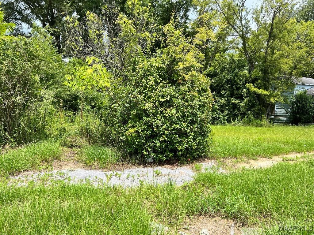 2101 Alabama Ave, Selma, AL 36703 - photo 1