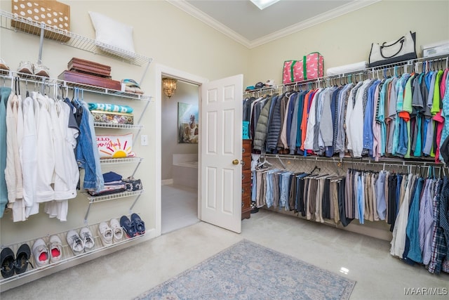 walk in closet featuring carpet