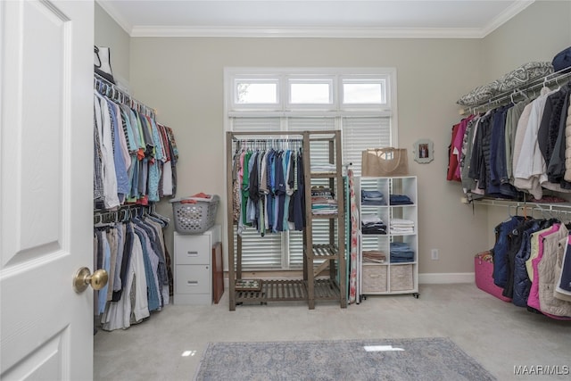 walk in closet with light carpet