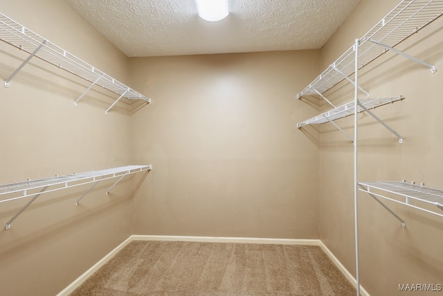 walk in closet featuring carpet