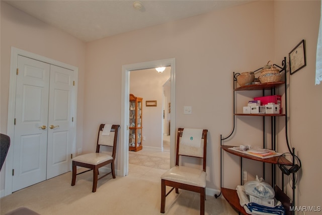 sitting room with light colored carpet