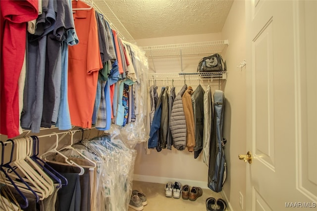 walk in closet with carpet floors