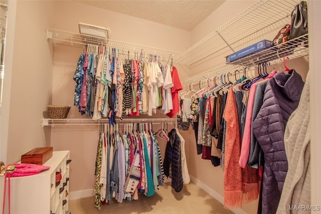 spacious closet featuring carpet floors