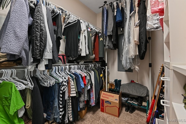 walk in closet with carpet