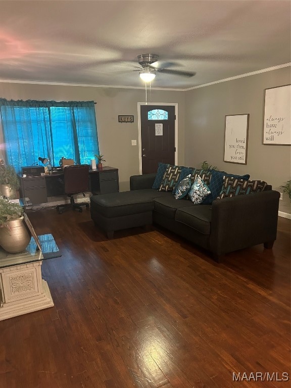 living room featuring ornamental molding, ceiling fan, and dark wood-type flooring