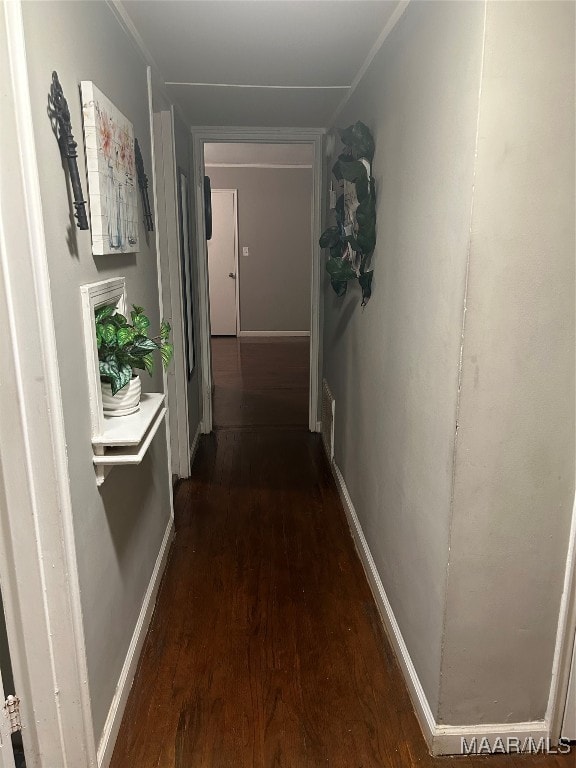 corridor featuring dark wood-type flooring