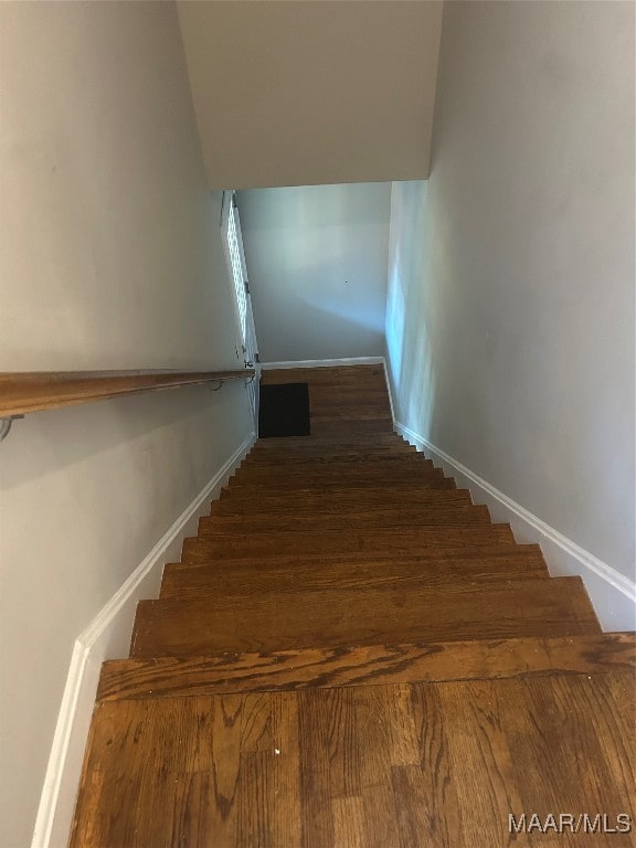 staircase featuring wood-type flooring