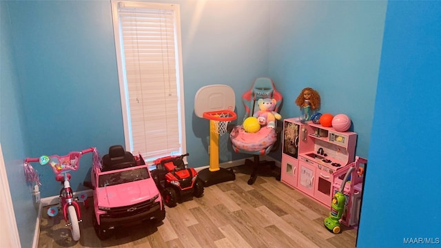 recreation room with light hardwood / wood-style flooring