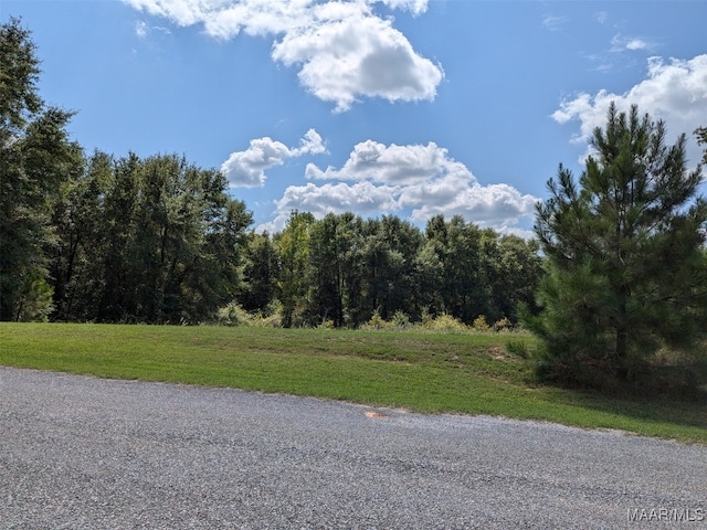 4.53AC Kyle Rd, Valley Grande AL, 36703 land for sale