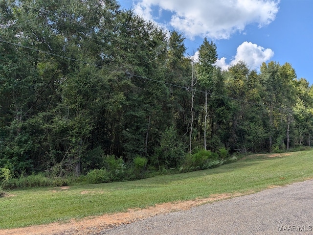 Listing photo 2 for 4.53AC Kyle Rd, Valley Grande AL 36703