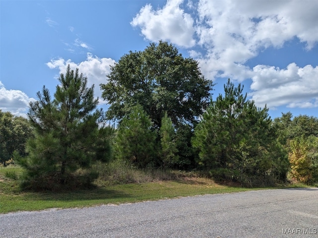 Listing photo 3 for 4.53AC Kyle Rd, Valley Grande AL 36703