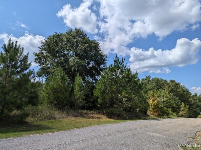 4.53AC Kyle Rd, Valley Grande, AL 36703