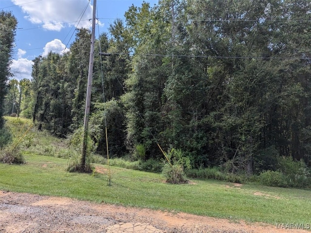 4.53AC Kyle Rd, Valley Grande, AL 36703