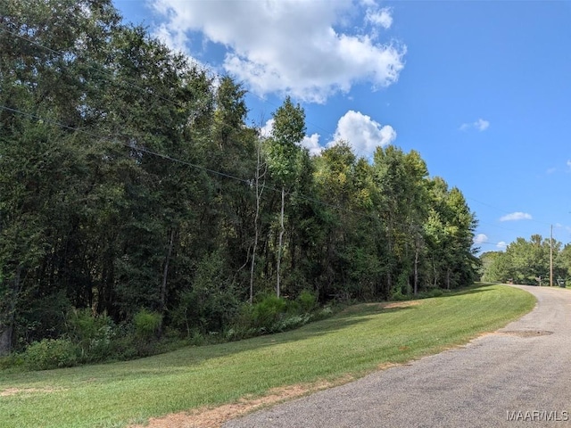 4.53AC Kyle Rd, Valley Grande, AL 36703