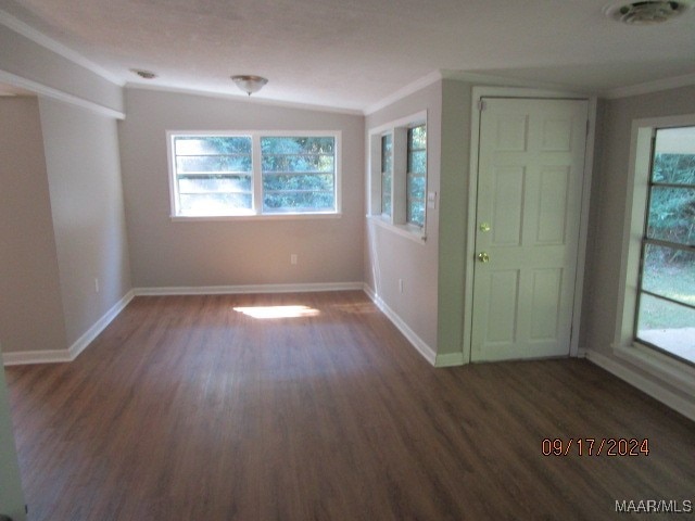 unfurnished room with crown molding, lofted ceiling, dark wood-type flooring, and plenty of natural light