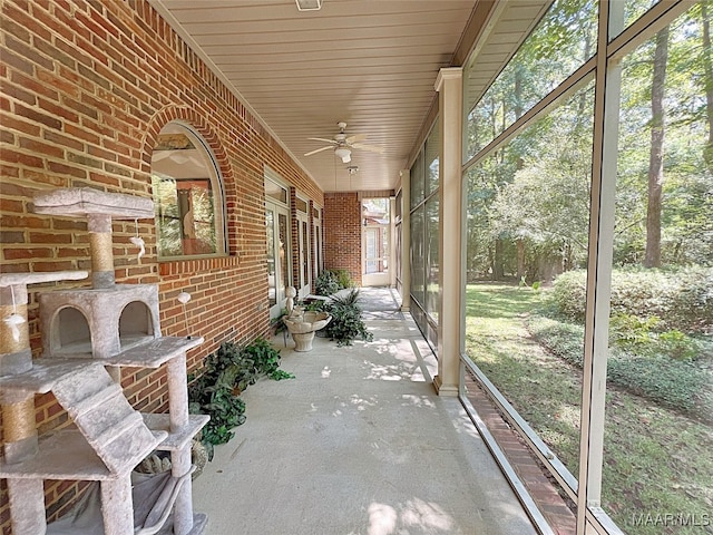 view of patio / terrace featuring ceiling fan