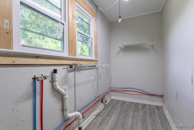 clothes washing area with wood-type flooring and washer hookup