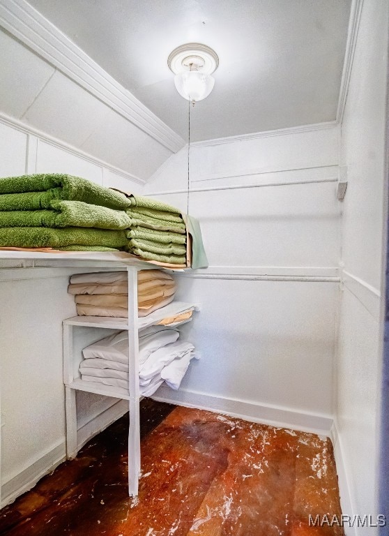 spacious closet with lofted ceiling