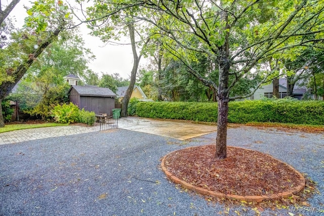 exterior space with a shed