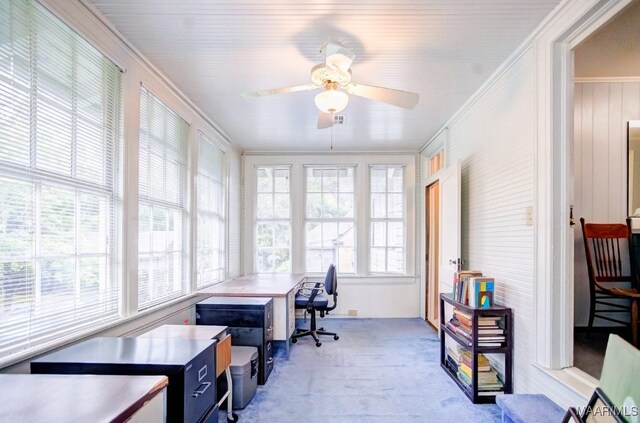 office area featuring crown molding, wood walls, ceiling fan, and plenty of natural light