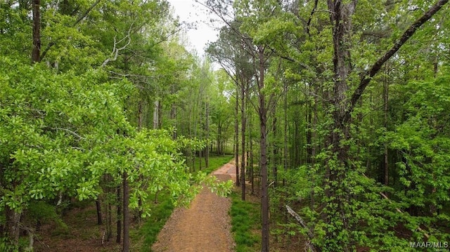 0 Pugh Rd, Mathews, AL 36052 - photo 1