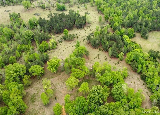 0 Pugh Rd, Mathews, AL 36052 - photo 2