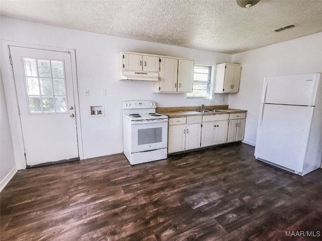 kitchen with white appliances, dark hardwood / wood-style floors, plenty of natural light, and sink