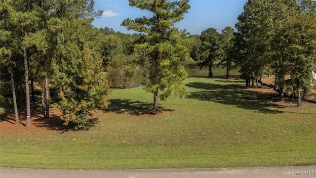 131 Winchester Trce, Mathews, AL 36052 - photo 2