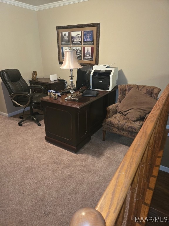 home office featuring crown molding and carpet flooring