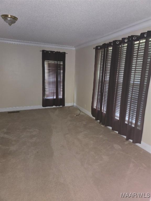 empty room featuring carpet floors, a textured ceiling, and ornamental molding