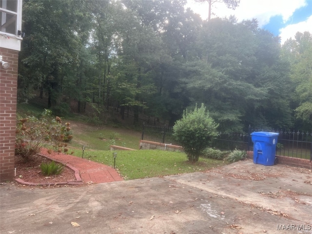 view of yard featuring a patio