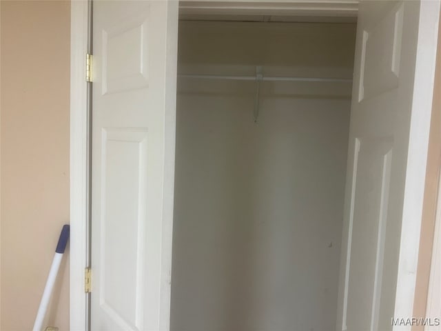 view of closet