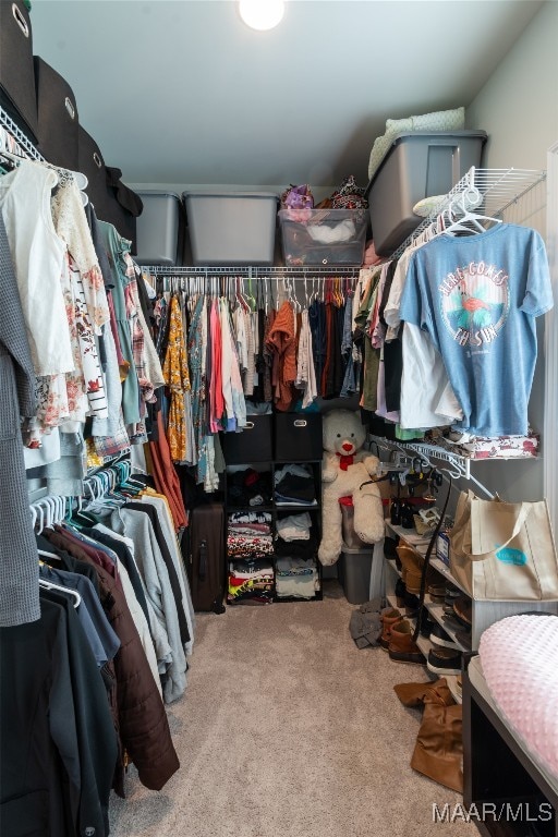 spacious closet with light colored carpet