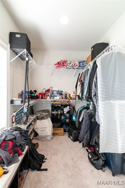 spacious closet featuring carpet floors