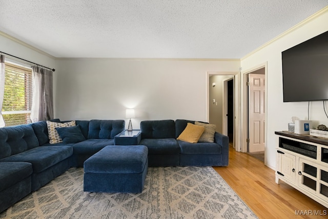 living room featuring a textured ceiling, wood-type flooring, and crown molding