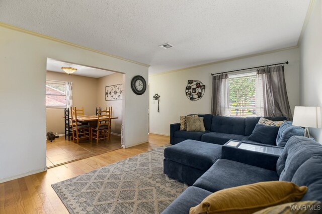 living room featuring a healthy amount of sunlight, light wood-type flooring, a textured ceiling, and ornamental molding