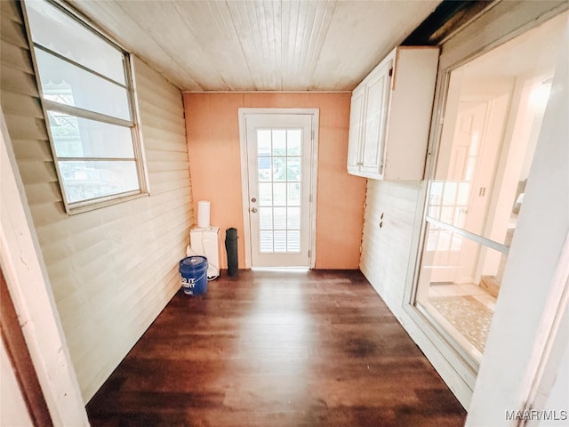 doorway featuring wooden walls and dark wood-type flooring