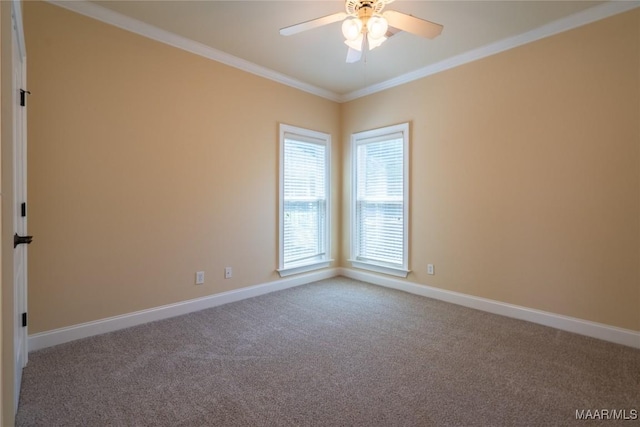 spare room with carpet, ceiling fan, and ornamental molding