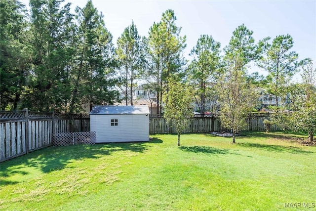 view of yard with a storage shed