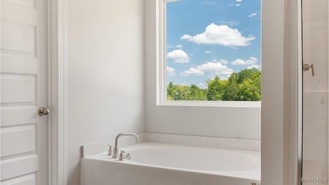 bathroom featuring a bathtub