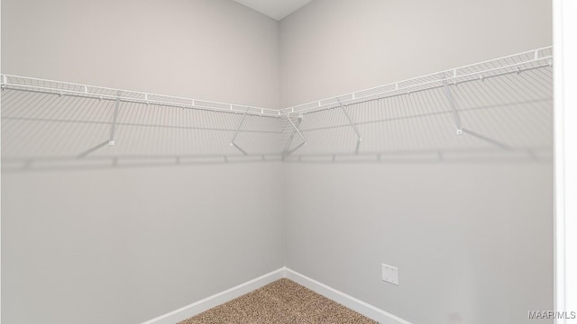 spacious closet with carpet