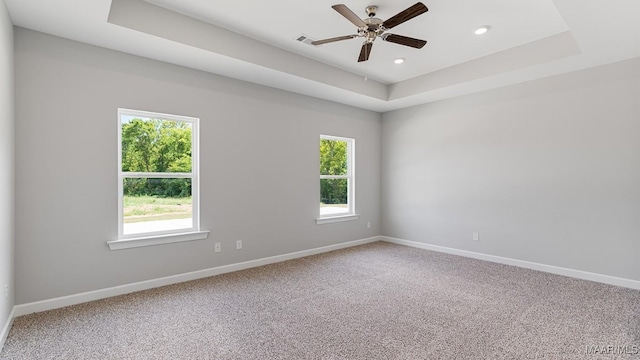 unfurnished room with carpet floors, a tray ceiling, and a healthy amount of sunlight